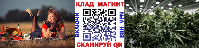 Виды наркоты Родники Псилоцибиновые грибы  А ПВП  ГАШИШ  МЕФ  Каннабис 