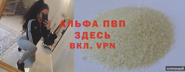 хмурый Алексин