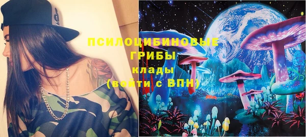хмурый Алексин