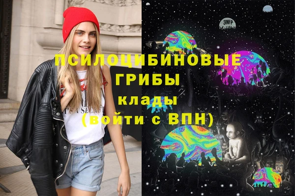хмурый Алексин