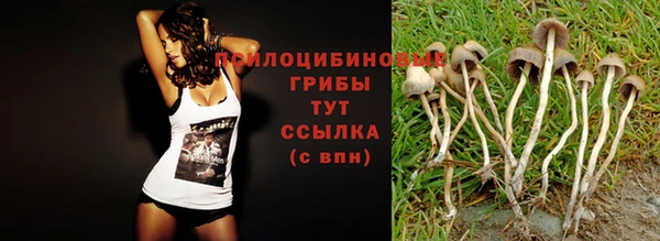 спиды Алексеевка